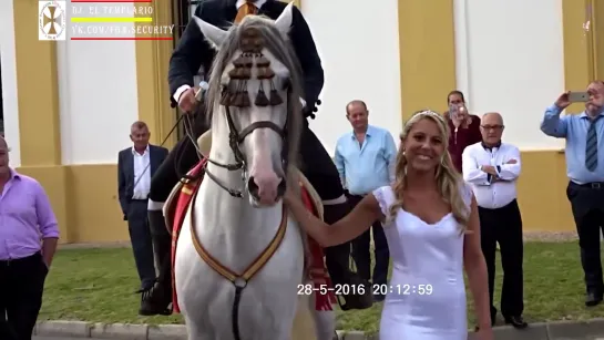 Momento Tradicional Boda Española ( Jerez de la Frontera)