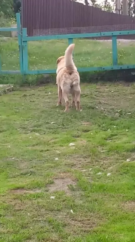 Видео от Сергея Удалова