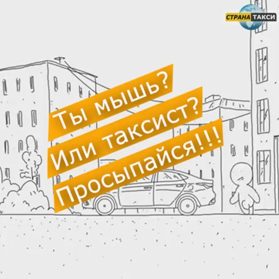 Ты мышь или таксист? Просыпайся!