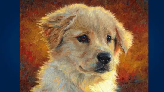 Золотистый ретривер (Golden Retriever)