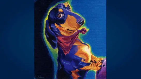 Такса (Dachshund)