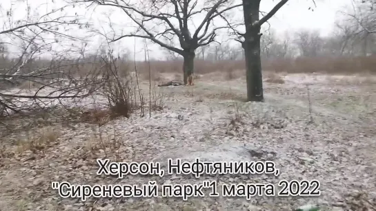 Видео от Про Войну - Военная хроника