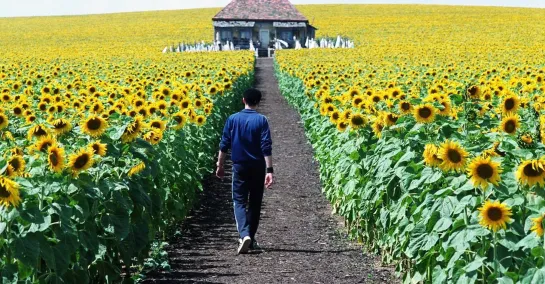 Свет вокруг / Everything Is Illuminated (2005)