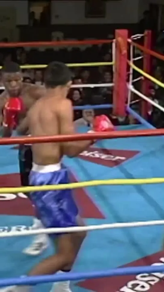 Видео от This is Boxing