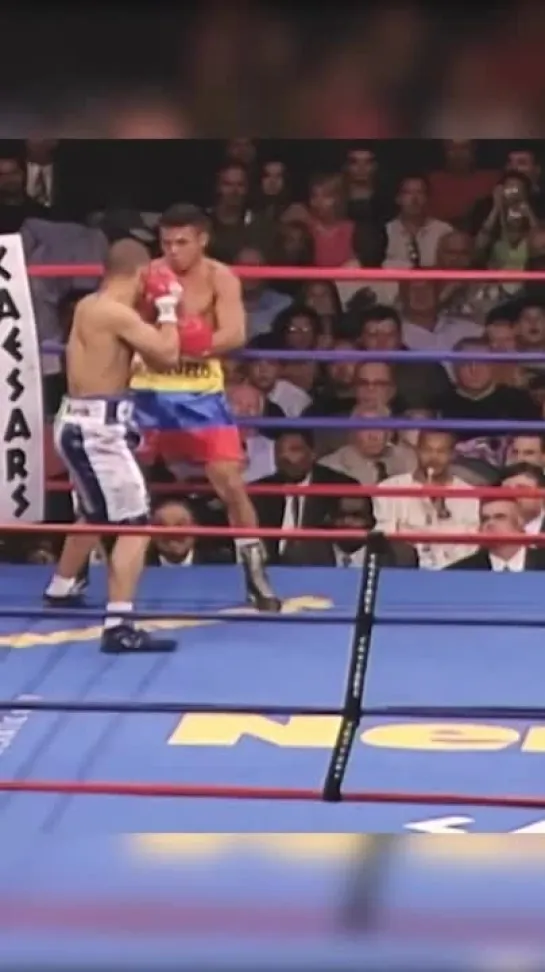 Видео от This is Boxing