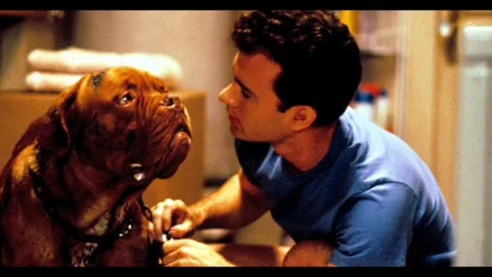 «Тёрнер и Хуч»./«Turner and Hooch». (1989).