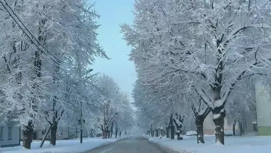 Заснеженная Эстония с высоты. Pärnu