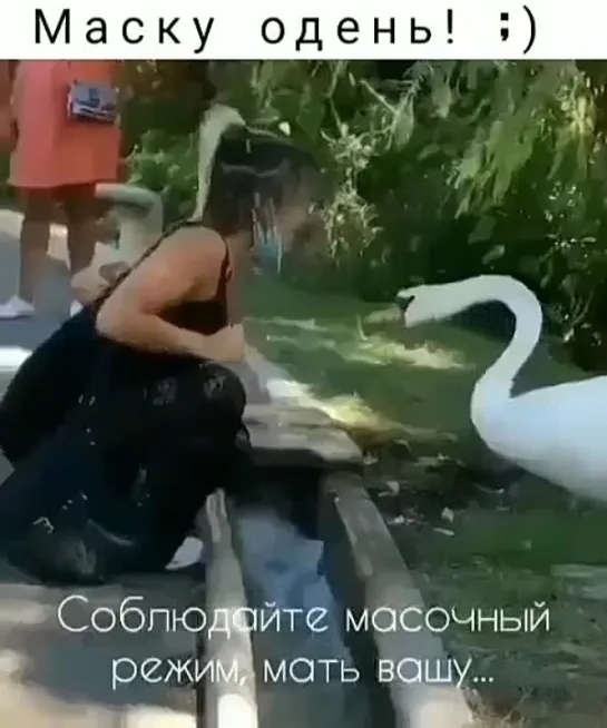 Соблюдай!