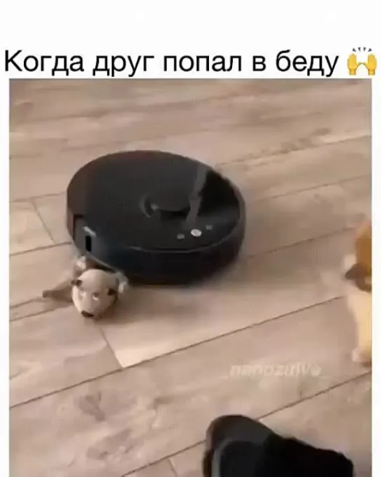 Спасите!