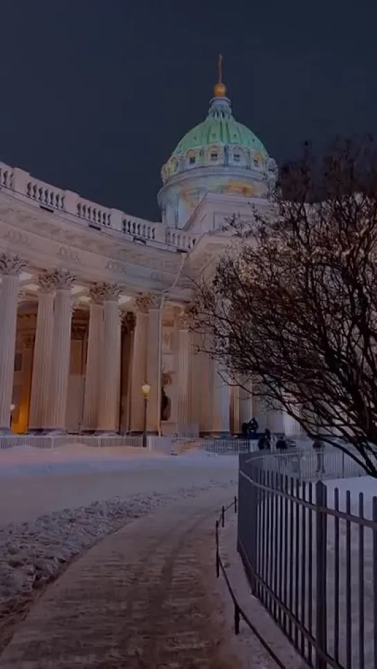 Казанский в цветах ночного Петербурга