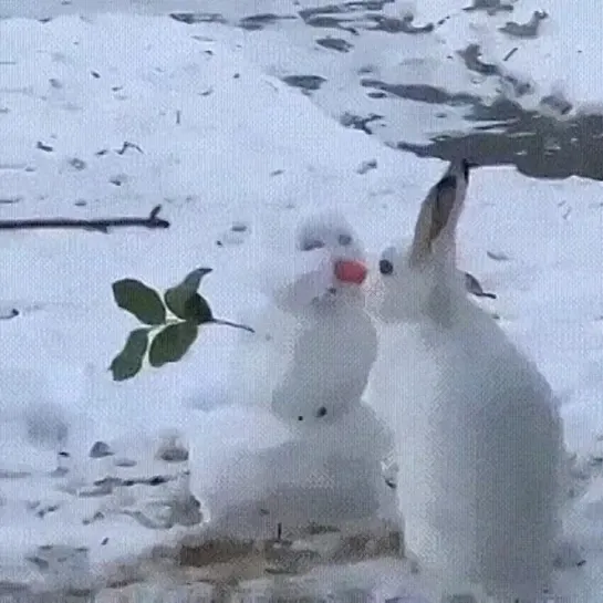 Не пропадать же морковке..