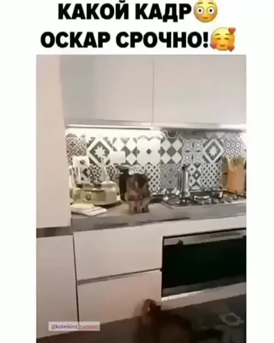 Настоящая любовь!