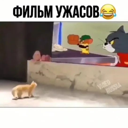 Слабонервным не смотреть..