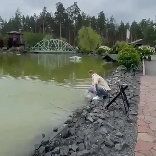 Охранник водоема