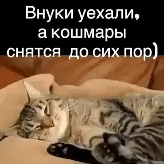 Внуки были..