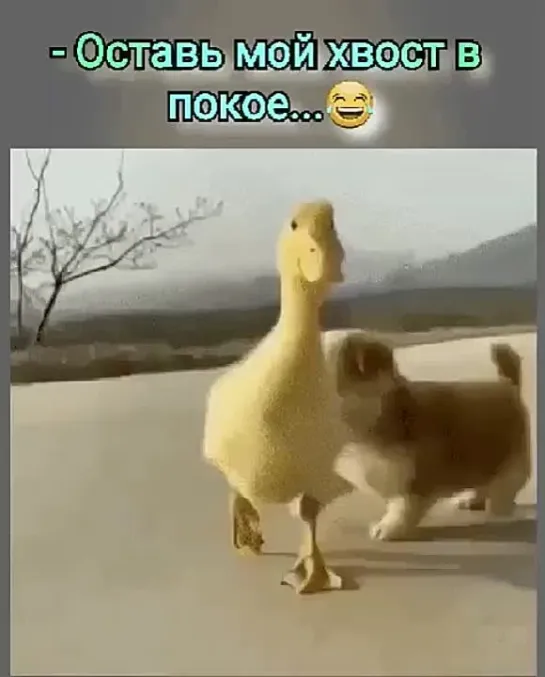 Отстань!