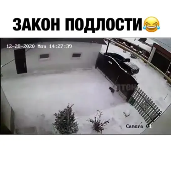 закон..