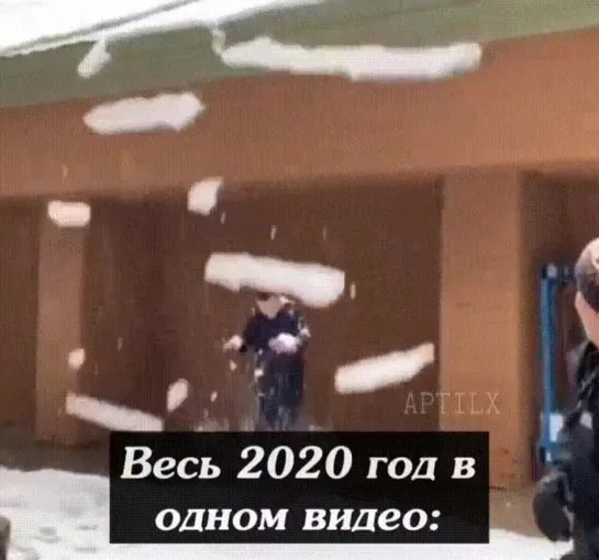 2020 год