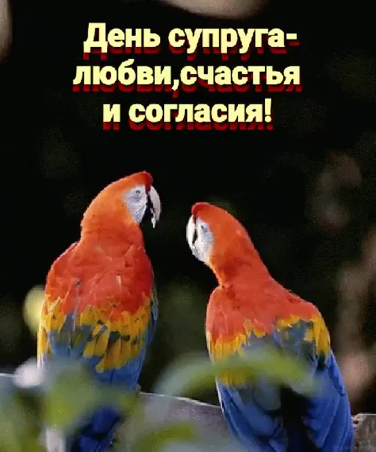 сегодня