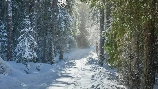 Хрустальная мелодия зимы