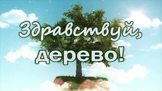 Здравствуй, дерево! #2