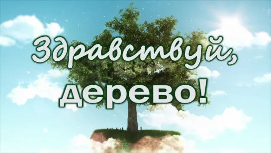 Здравствуй, дерево!  #1