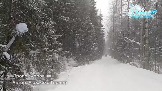 «Тропа здоровья». Автор: Людмила Гернер