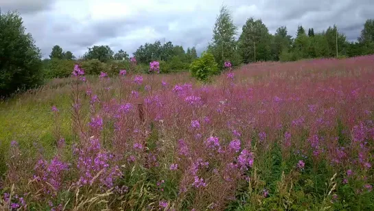 Видео от Татьяны Мешковой