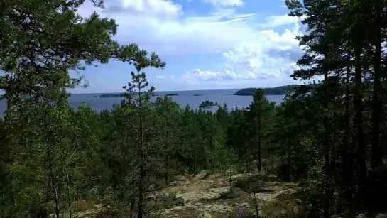 Видео от Татьяны Мешковой