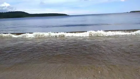 Видео от Татьяны Мешковой