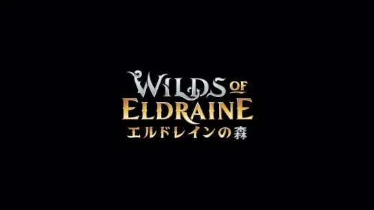 【日本発】『エルドレインの森』アニメトレーラー フルver. “Twin Fates” / マジック：ザ・ギャザリング