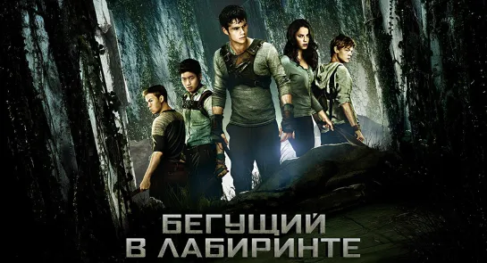 Бегущий в лабиринте (2014)