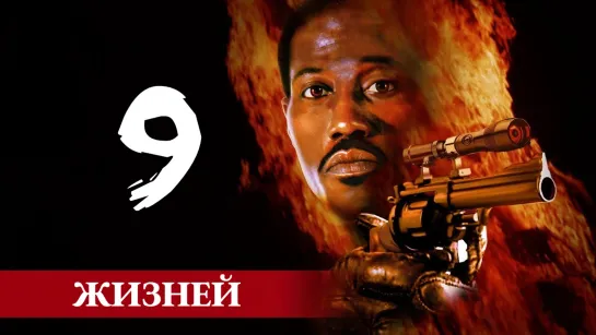 Девять жизней (2004)