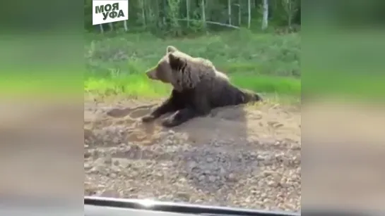 “Не подскажете, как до Уфы доехать?“