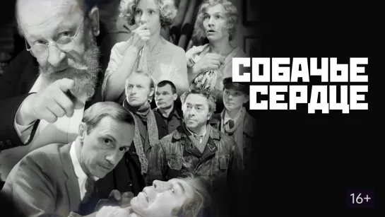 М.А. Булгаков. "Собачье сердце" Ленфильм. СССР. 1988 HD