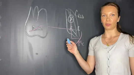 Orthodontic extrusion explained. Tooth movements and biomechanics