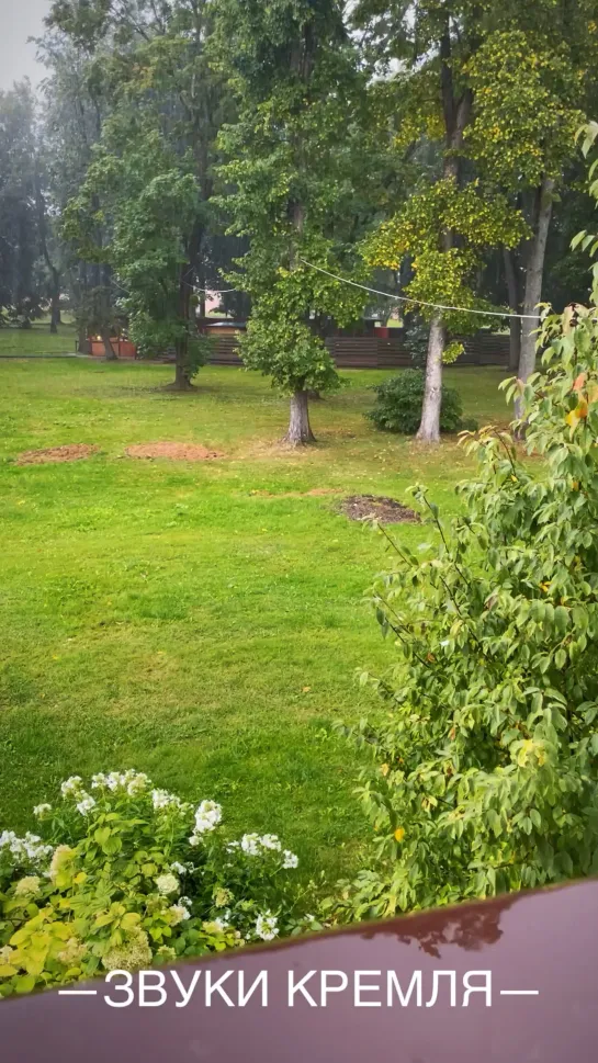 Видео от Новгородский музей-заповедник