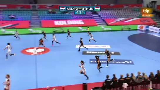 Balonmano - Campeonato de Europa femenino Pases Bajos - Hungra