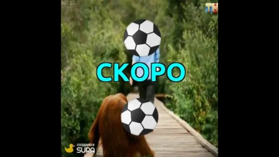 Копия скоро