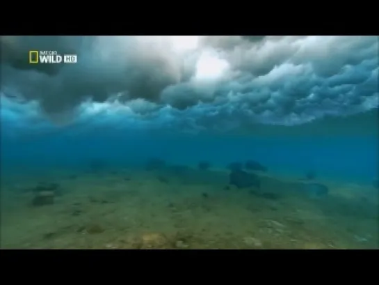 National Geographic.Моря пустыни / Desert Seas (2011)