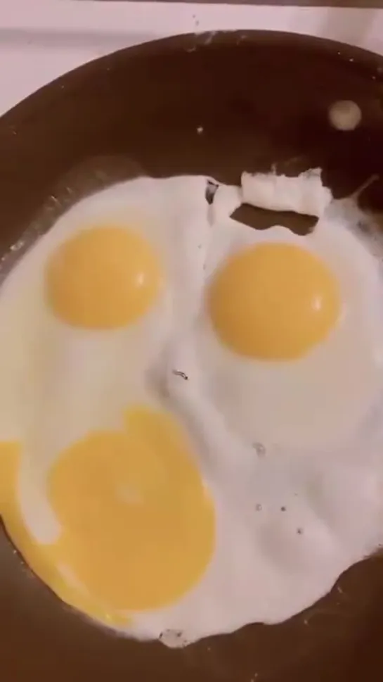 doomdadaproject egg