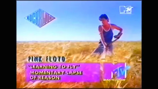 Pink Floyd — Learning To Fly