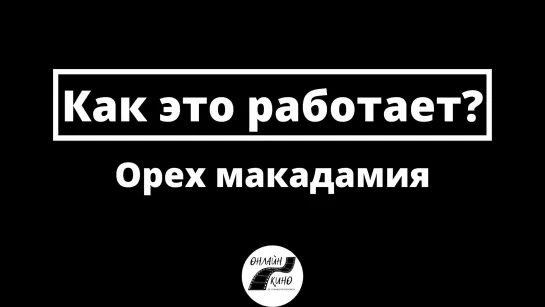 Орех макадамия