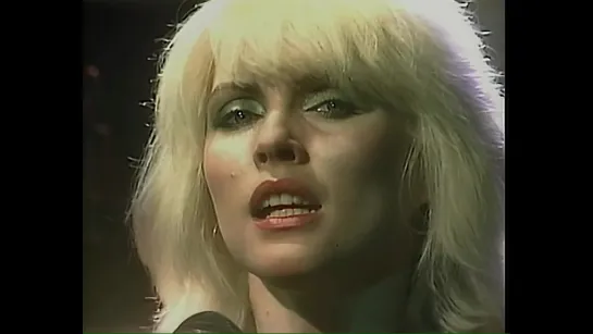 Blondie - Shayla