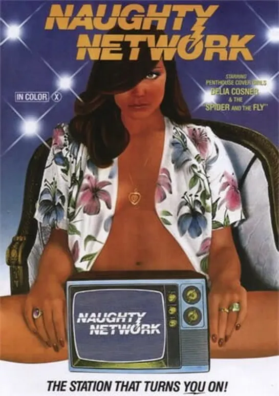 Фильм : Порочная телесеть-Naughty Network (1981 год)