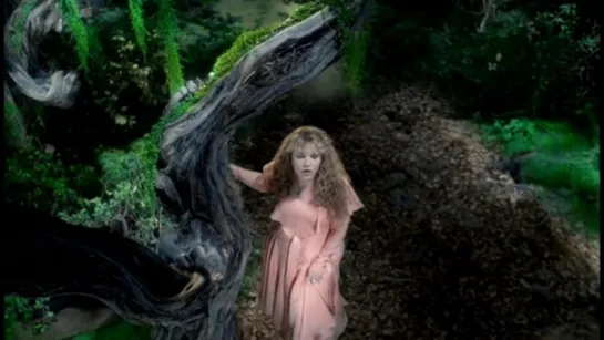 Stevie Nicks - Every Day