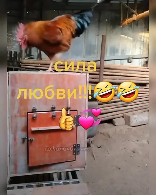 Это любовь