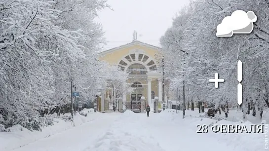 Видео от Череповец