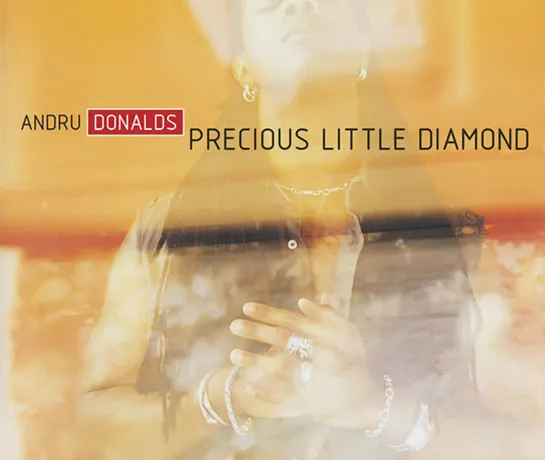 Andru Donalds  Precious Little Diamond Official Music Video_480p