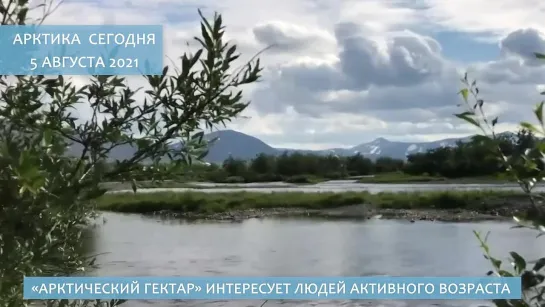 Арктика сегодня_ «Арктический гектар», Северный морской путь, наука